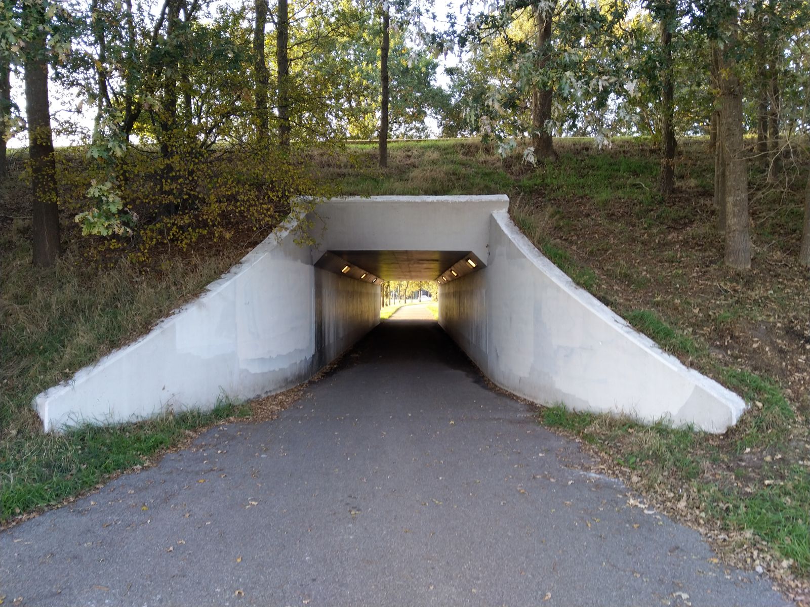 oooo a tunnel... i shall now braaap loudly *braaaaaaaaps*