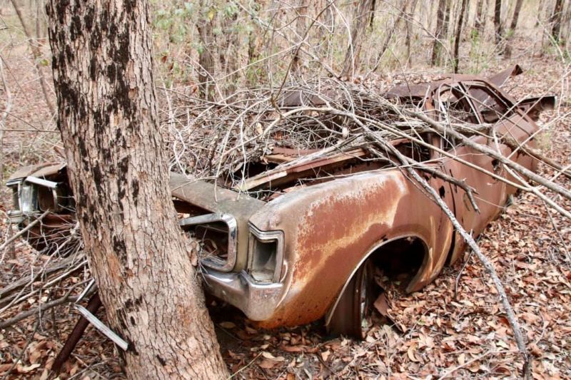 Illustration for article titled cars in the aussie bush