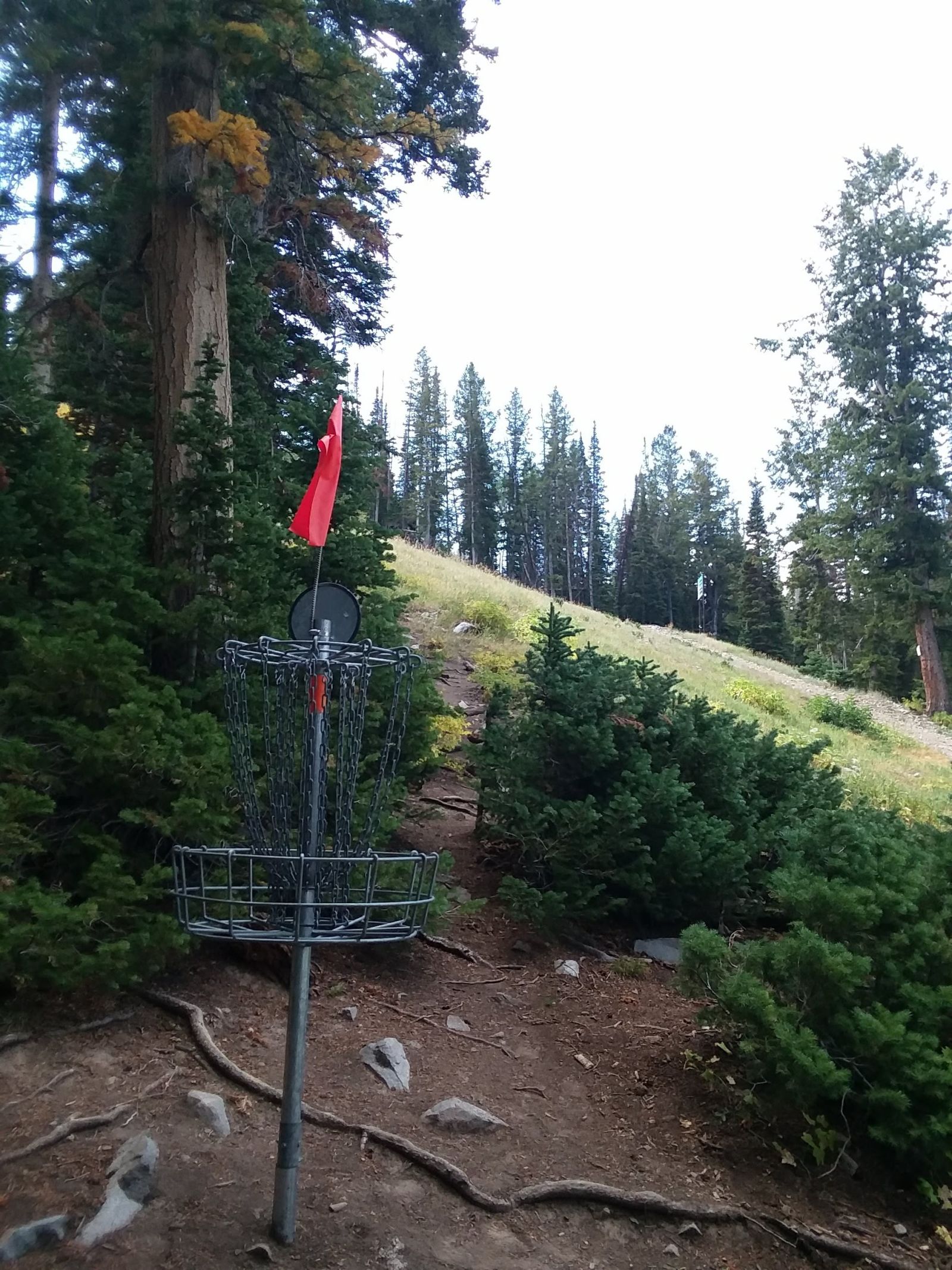 Around noon, I started an amazing round of disc golf and my hike across the mountain for all 18 holes. I had the whole place to myself aside from a few hikers and bikers.