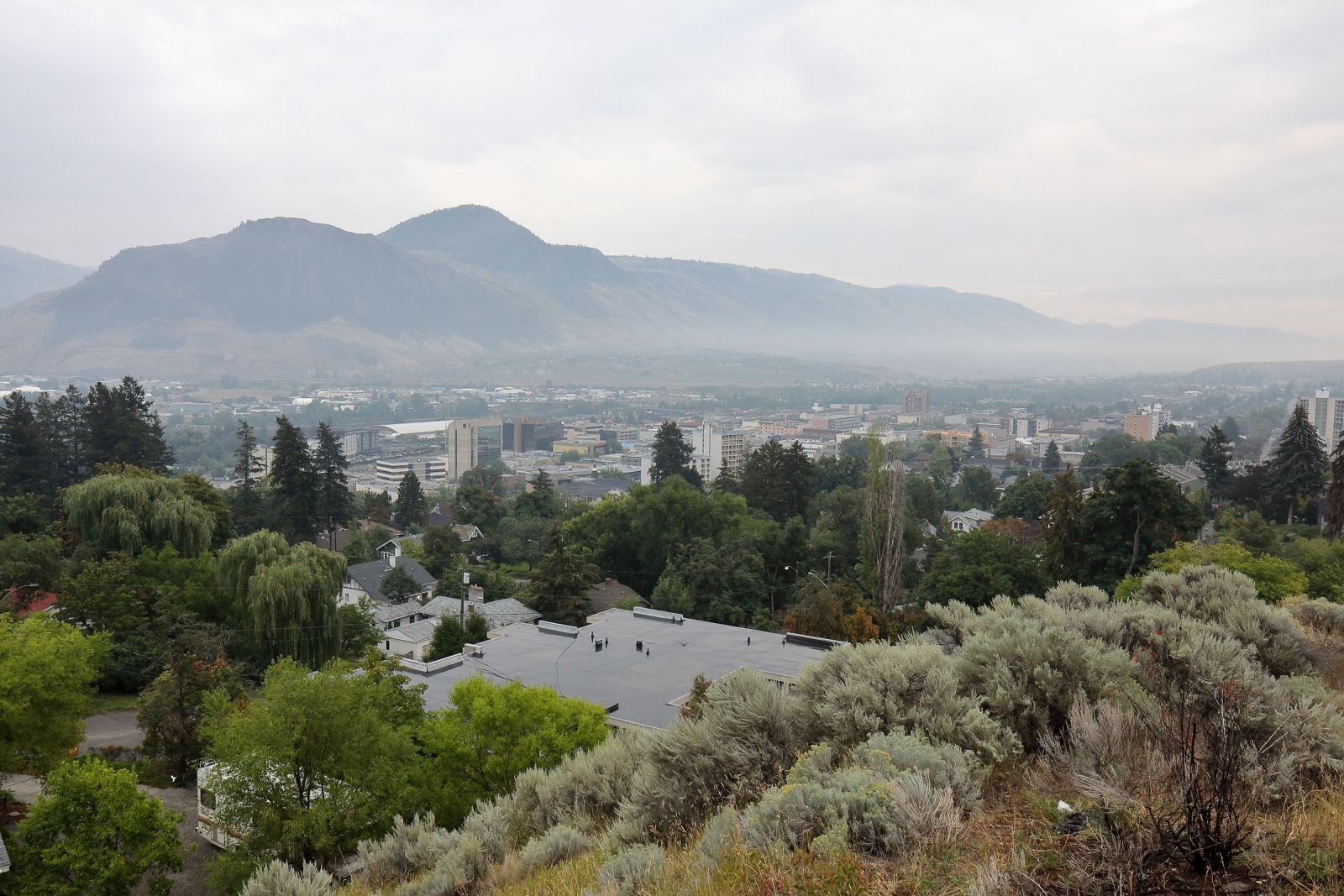 Illustration for article titled Pics from the Curbside: 2018-08-26 Around Downtown Kamloops
