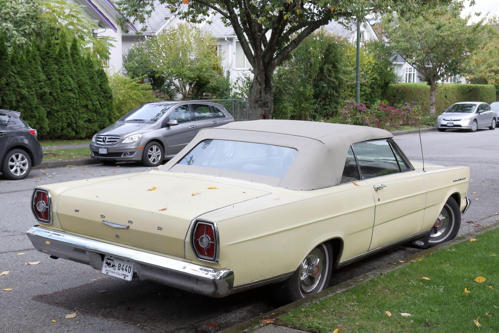 Ford Galaxie 500 on Vintage Plate