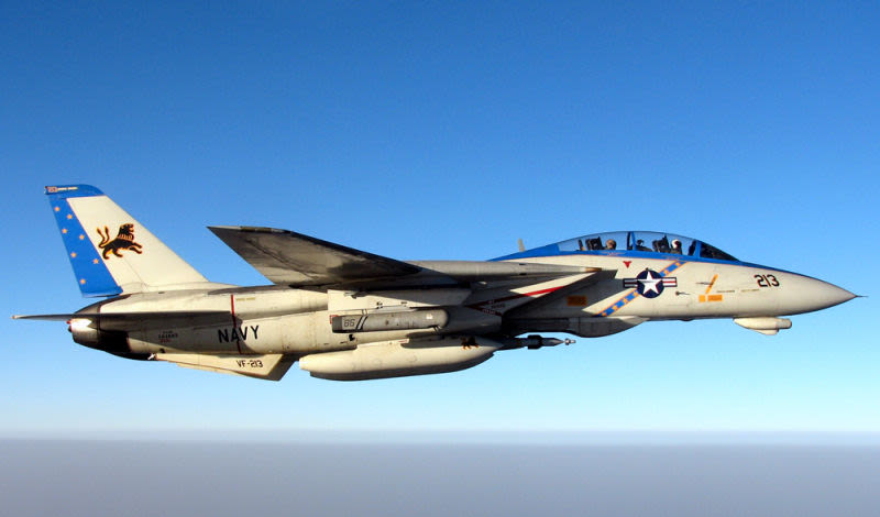 Armed with a laser-guided bomb and a LANTIRN targeting pot, a specially painted F-14D Tomcat assigned to the Blacklions of Fighter Squadron Two One Three (VF-213 conducts a mission over the Persian Gulf in 2005 (US Navy)