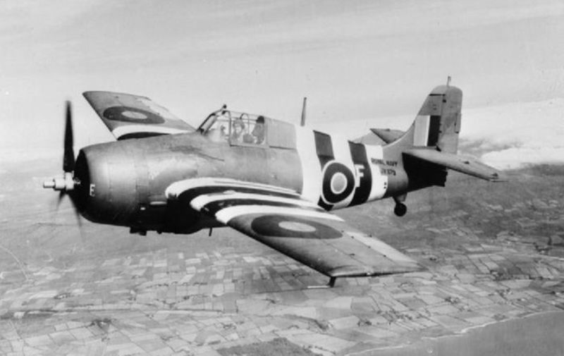 A Wildcat of the Royal Navy in 1944 painted with D-Day identification stripes. Though adopted as the Martlet, the Royal Navy later used the name Wildcat for the fighter.