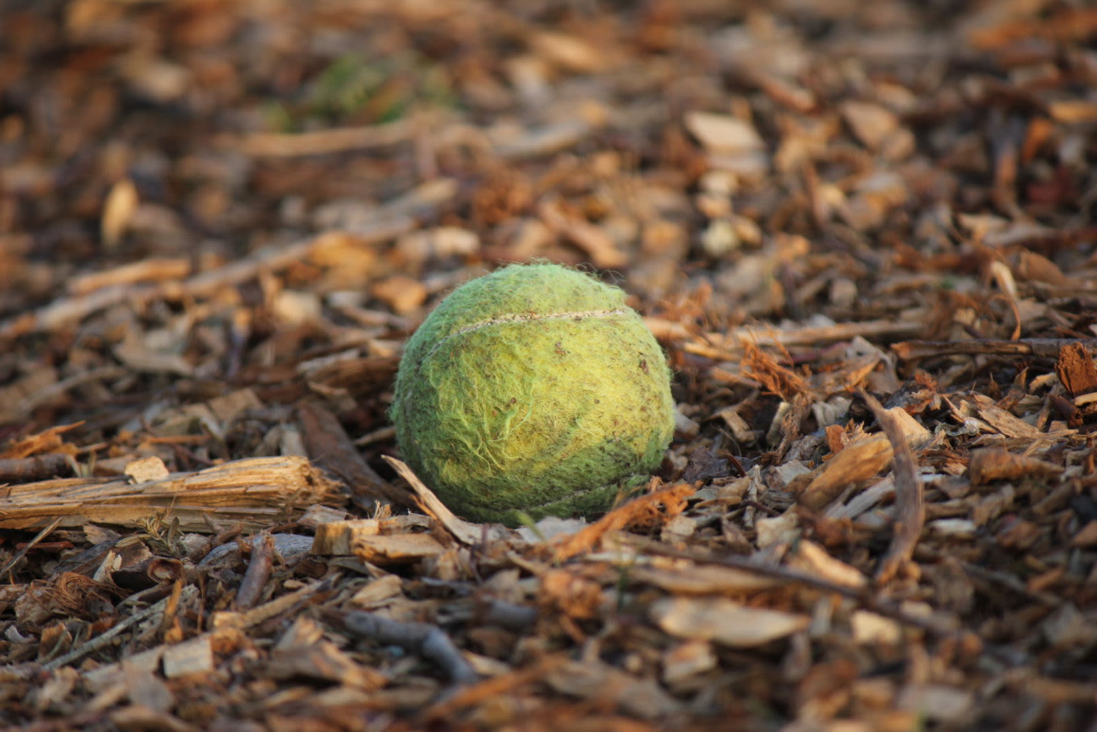 Tennis sphere